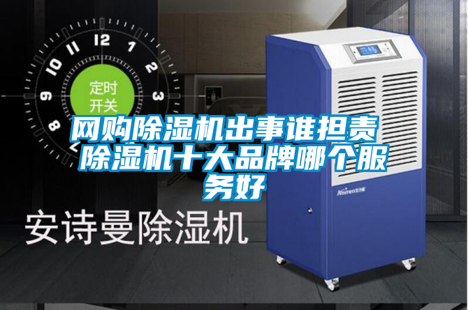 網(wǎng)購(gòu)除濕機(jī)出事誰擔(dān)責(zé) 除濕機(jī)十大品牌哪個(gè)服務(wù)好