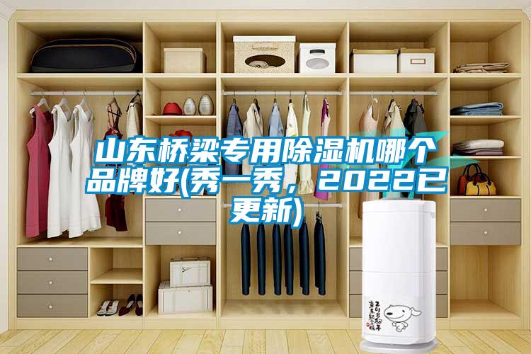 山東橋梁專用除濕機哪個品牌好(秀一秀，2022已更新)