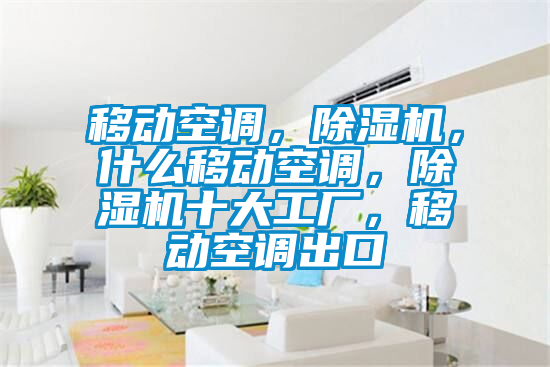 移動空調(diào)，除濕機，什么移動空調(diào)，除濕機十大工廠，移動空調(diào)出口