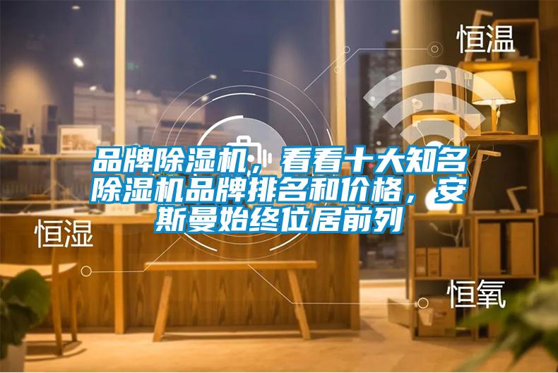 品牌除濕機，看看十大知名除濕機品牌排名和價格，安斯曼始終位居前列