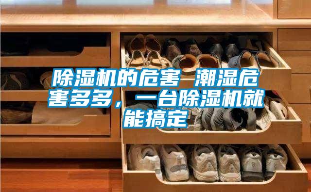 除濕機的危害 潮濕危害多多，一臺除濕機就能搞定