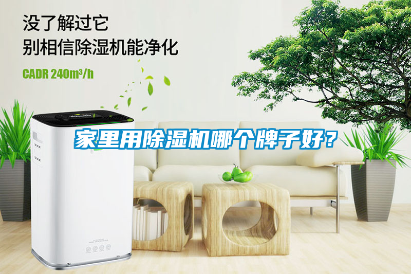 家里用除濕機(jī)哪個(gè)牌子好？