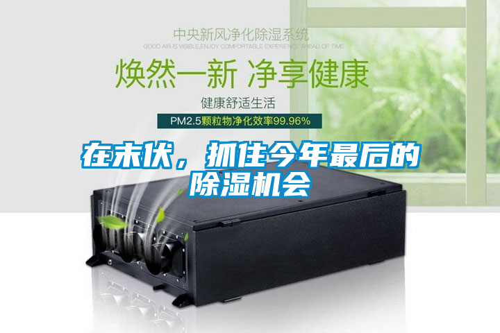 在末伏，抓住今年最后的除濕機會