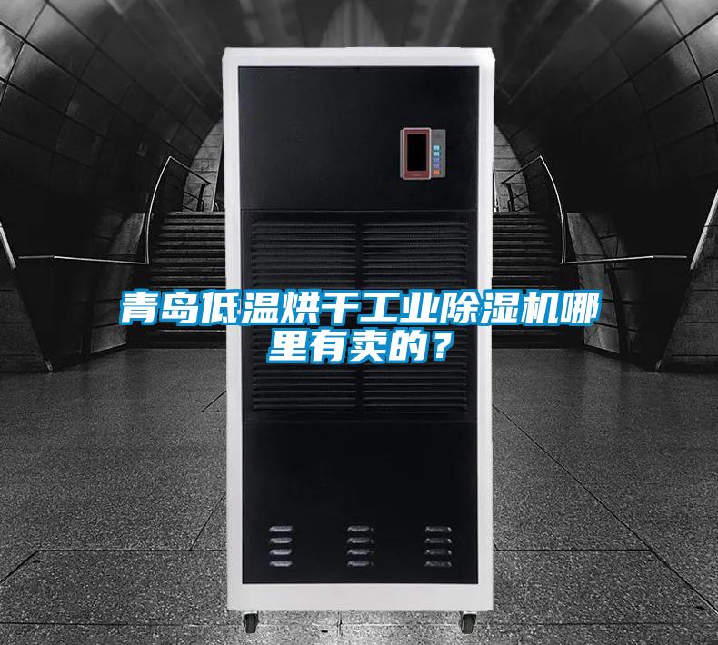 青島低溫烘干工業(yè)除濕機哪里有賣的？