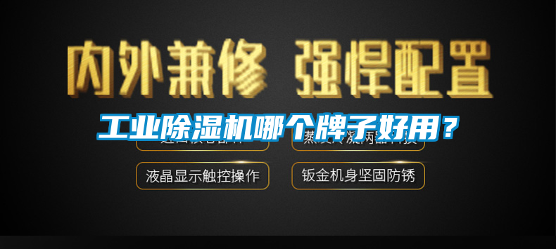 工業(yè)除濕機哪個牌子好用？