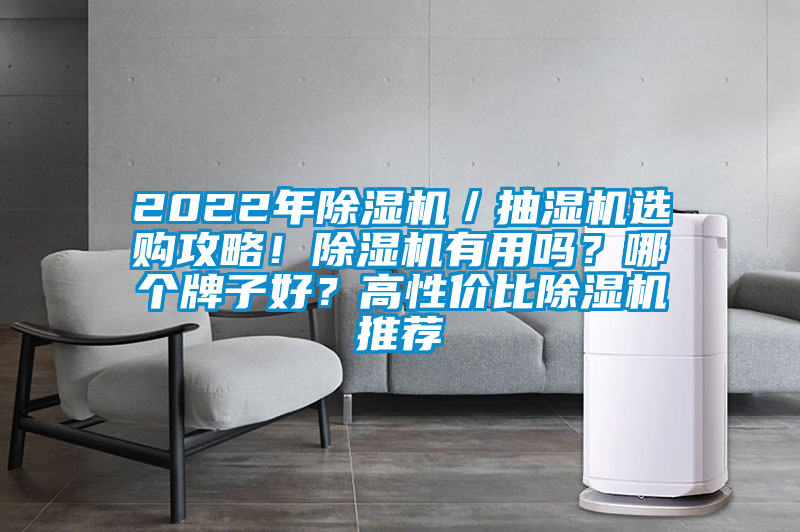 2022年除濕機(jī)／抽濕機(jī)選購(gòu)攻略！除濕機(jī)有用嗎？哪個(gè)牌子好？高性價(jià)比除濕機(jī)推薦