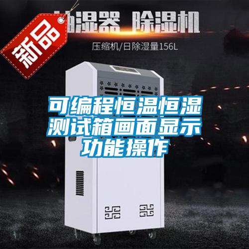 可編程恒溫恒濕測(cè)試箱畫(huà)面顯示功能操作