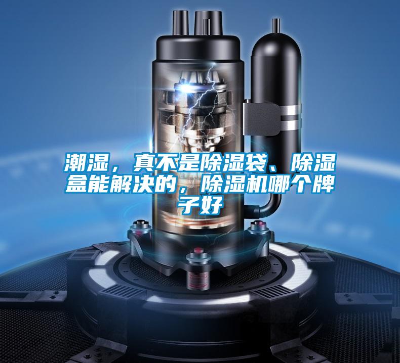 潮濕，真不是除濕袋、除濕盒能解決的，除濕機哪個牌子好