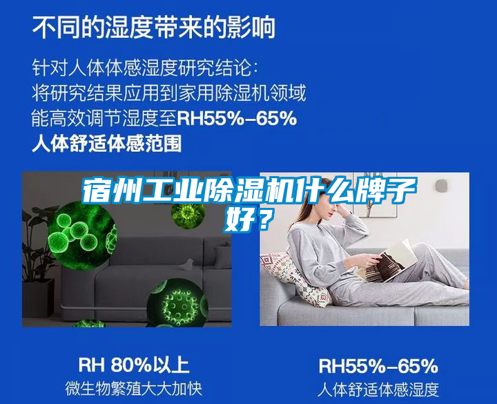 宿州工業(yè)除濕機什么牌子好？