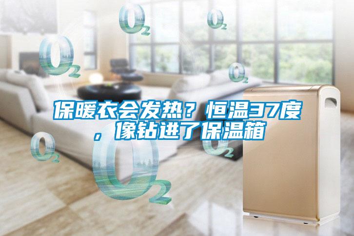 保暖衣會(huì)發(fā)熱？恒溫37度，像鉆進(jìn)了保溫箱