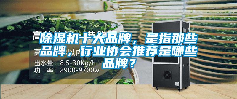 除濕機十大品牌，是指那些品牌，行業(yè)協(xié)會推薦是哪些品牌？