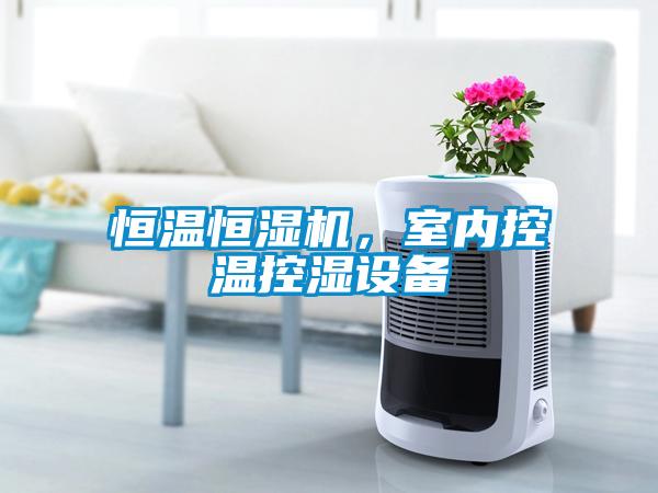 恒溫恒濕機，室內(nèi)控溫控濕設備