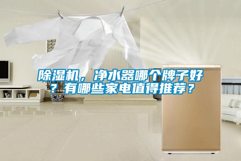 除濕機(jī)，凈水器哪個(gè)牌子好？有哪些家電值得推薦？