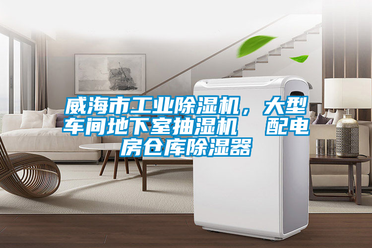 威海市工業(yè)除濕機，大型車間地下室抽濕機  配電房倉庫除濕器