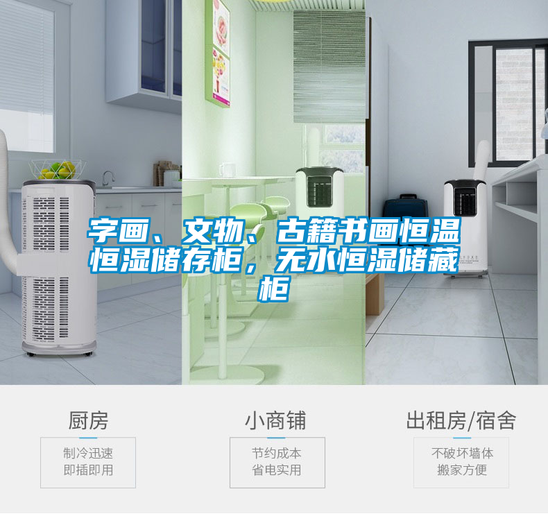 字畫、文物、古籍書畫恒溫恒濕儲(chǔ)存柜，無(wú)水恒濕儲(chǔ)藏柜
