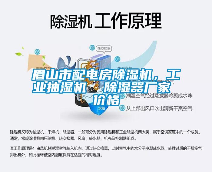 眉山市配電房除濕機，工業(yè)抽濕機  除濕器廠家 價格