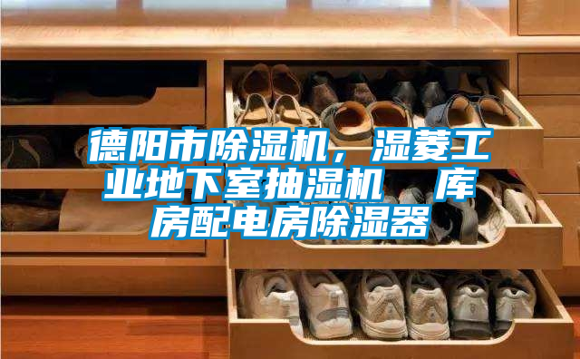 德陽市除濕機(jī)，濕菱工業(yè)地下室抽濕機(jī)  庫房配電房除濕器