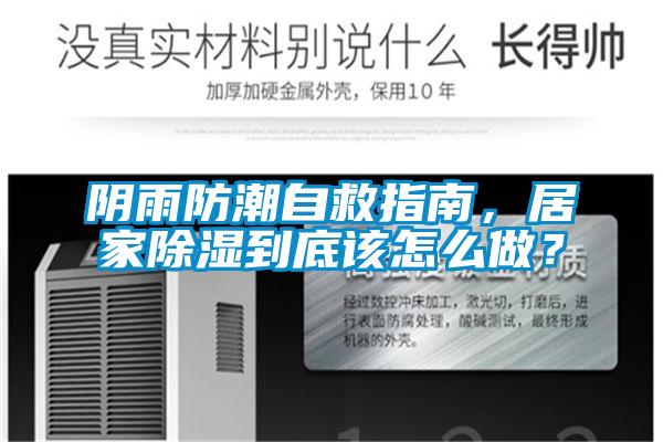 陰雨防潮自救指南，居家除濕到底該怎么做？