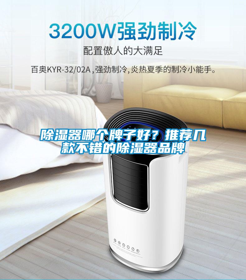 除濕器哪個(gè)牌子好？推薦幾款不錯(cuò)的除濕器品牌