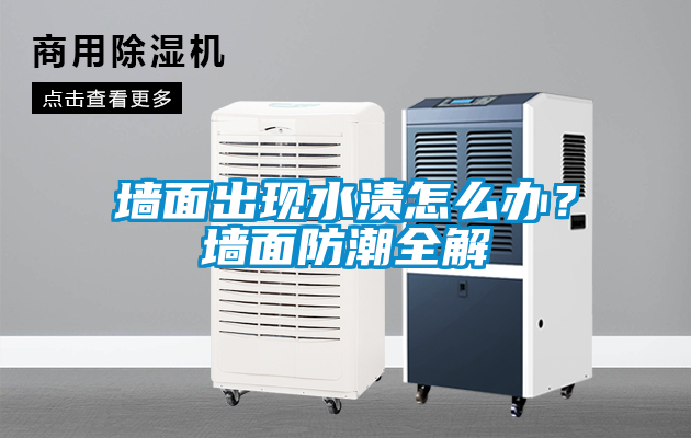 墻面出現(xiàn)水漬怎么辦？墻面防潮全解