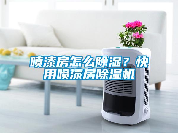 噴漆房怎么除濕？快用噴漆房除濕機(jī)