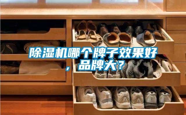 除濕機(jī)哪個(gè)牌子效果好，品牌大？