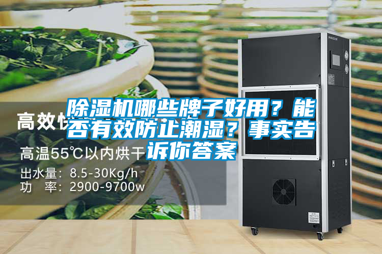 除濕機(jī)哪些牌子好用？能否有效防止潮濕？事實告訴你答案