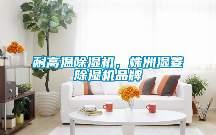 耐高溫除濕機，株洲濕菱除濕機品牌