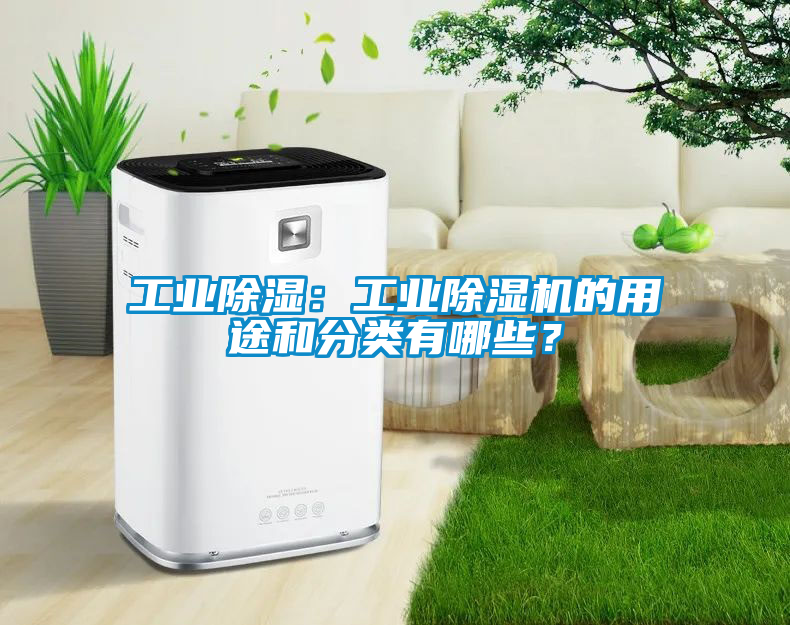 工業(yè)除濕：工業(yè)除濕機的用途和分類有哪些？