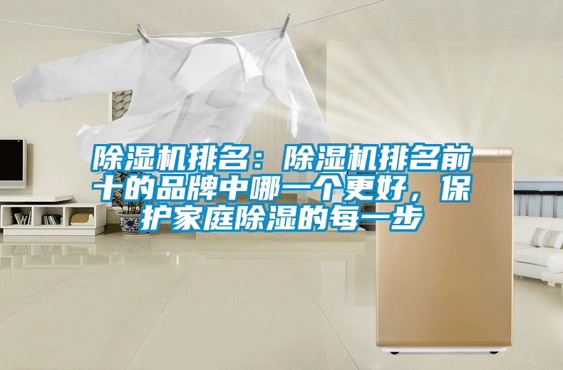 除濕機排名：除濕機排名前十的品牌中哪一個更好，保護家庭除濕的每一步