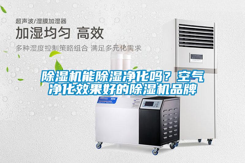 除濕機(jī)能除濕凈化嗎？空氣凈化效果好的除濕機(jī)品牌