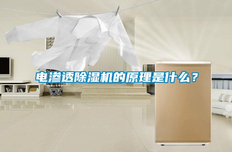 電滲透除濕機的原理是什么？