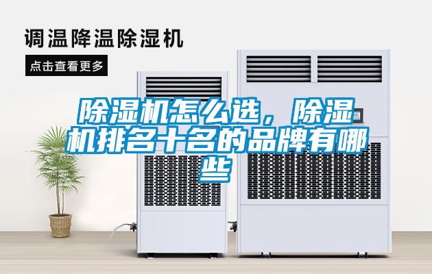 除濕機怎么選，除濕機排名十名的品牌有哪些