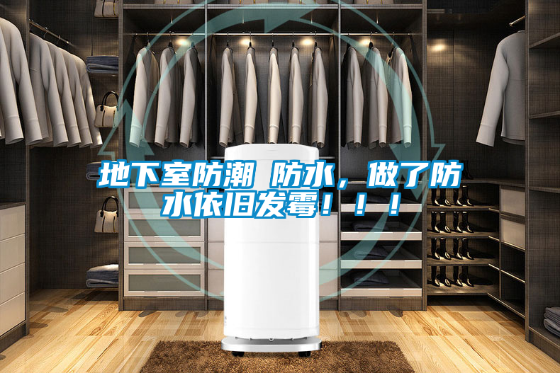 地下室防潮≠防水，做了防水依舊發(fā)霉！??！