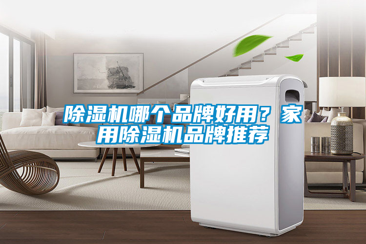 除濕機(jī)哪個(gè)品牌好用？家用除濕機(jī)品牌推薦