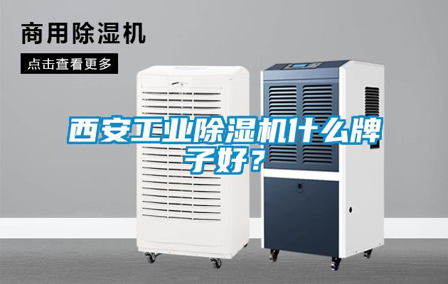 西安工業(yè)除濕機(jī)什么牌子好？