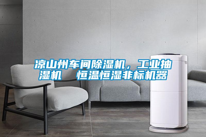 涼山州車間除濕機，工業(yè)抽濕機  恒溫恒濕非標機器