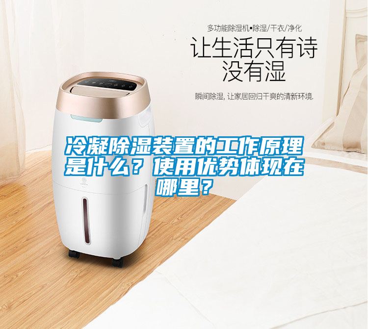 冷凝除濕裝置的工作原理是什么？使用優(yōu)勢(shì)體現(xiàn)在哪里？