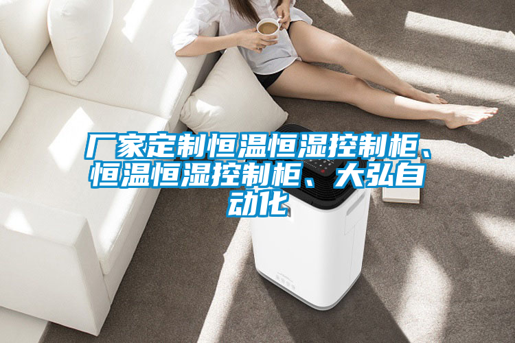 廠家定制恒溫恒濕控制柜、恒溫恒濕控制柜、大弘自動化