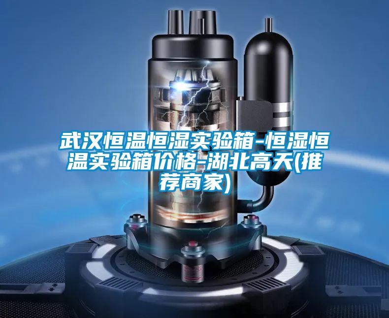 武漢恒溫恒濕實(shí)驗箱-恒濕恒溫實(shí)驗箱價格-湖北高天(推薦商家)