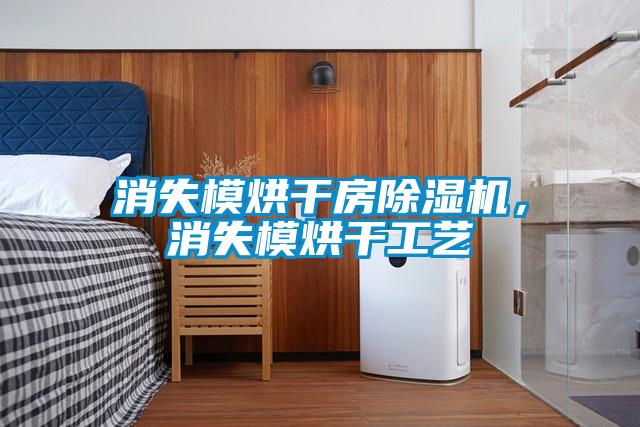 消失模烘干房除濕機(jī)，消失模烘干工藝