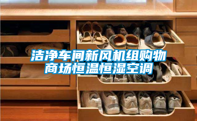 潔凈車(chē)間新風(fēng)機(jī)組購(gòu)物商場(chǎng)恒溫恒濕空調(diào)