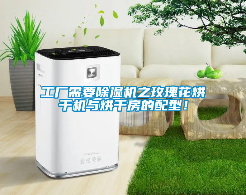 工廠需要除濕機之玫瑰花烘干機與烘干房的配型！