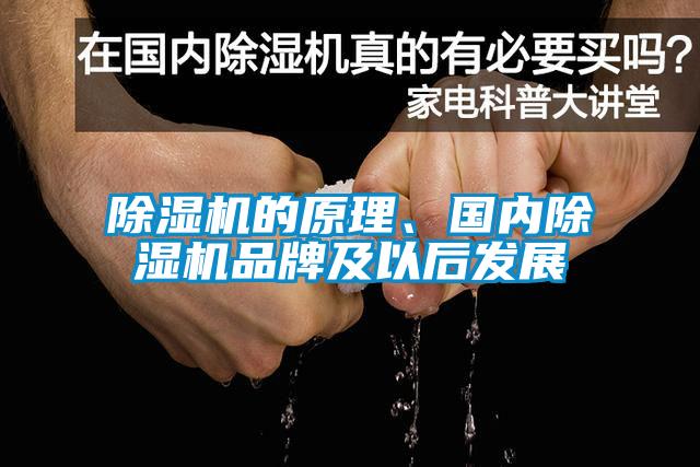 除濕機的原理、國內(nèi)除濕機品牌及以后發(fā)展