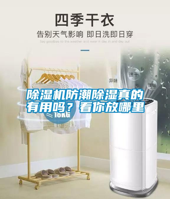 除濕機(jī)防潮除濕真的有用嗎？看你放哪里