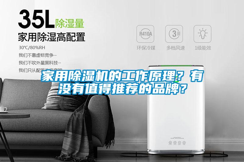 家用除濕機(jī)的工作原理？有沒有值得推薦的品牌？