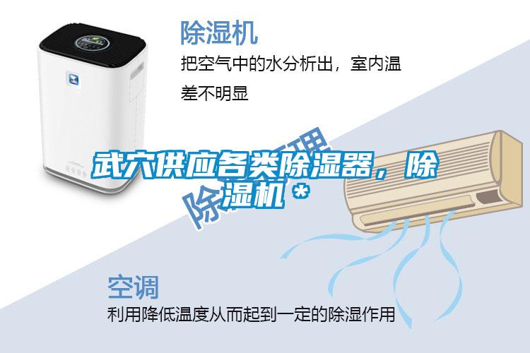 武穴供應(yīng)各類除濕器，除濕機(jī)＊