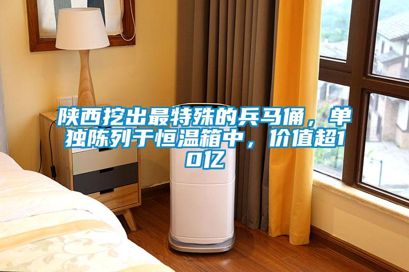 陜西挖出最特殊的兵馬俑，單獨(dú)陳列于恒溫箱中，價(jià)值超10億