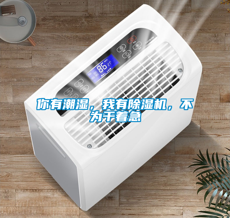 你有潮濕，我有除濕機，不為干著急