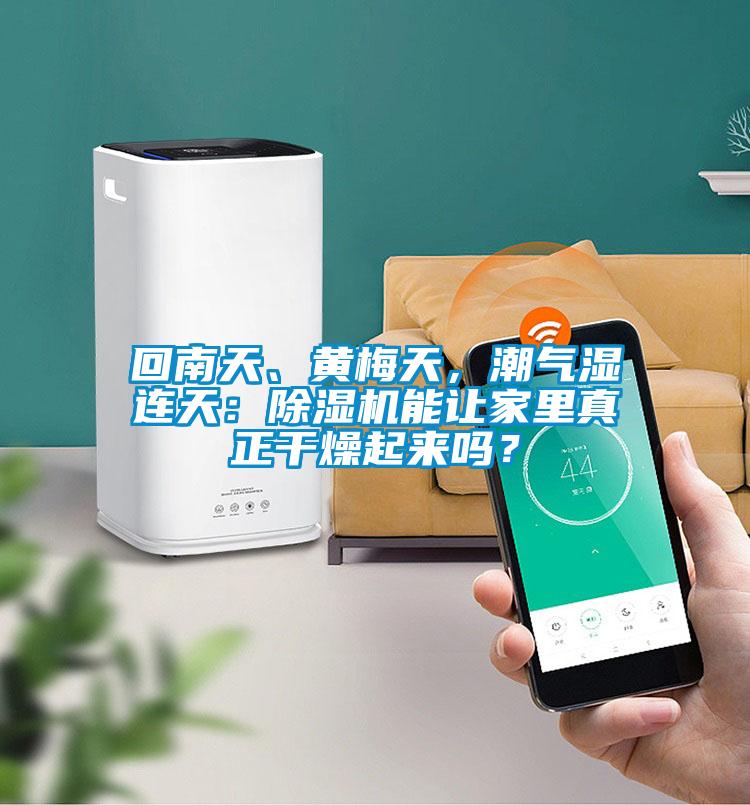 回南天、黃梅天，潮氣濕連天：除濕機(jī)能讓家里真正干燥起來(lái)嗎？